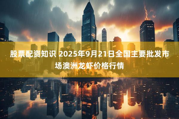 股票配资知识 2025年9月21日全国主要批发市场澳洲龙虾价格行情
