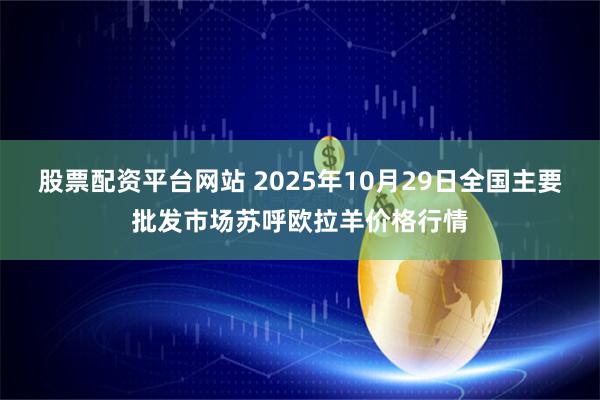 股票配资平台网站 2025年10月29日全国主要批发市场苏呼欧拉羊价格行情
